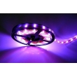 5050 LED Strip Light