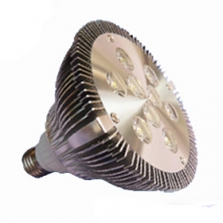 9W LED PAR Light