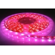 5050 LED Strip Light