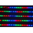 3528 LED Strip Light